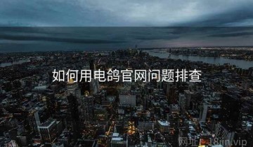 如何用电鸽官网问题排查