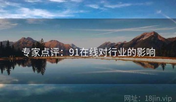 专家点评：91在线对行业的影响