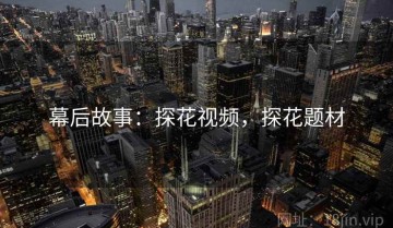幕后故事：探花视频，探花题材