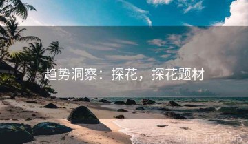 趋势洞察：探花，探花题材