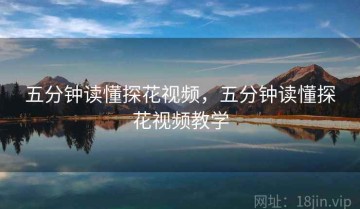 五分钟读懂探花视频，五分钟读懂探花视频教学