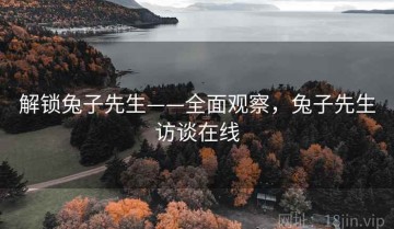 解锁兔子先生——全面观察，兔子先生访谈在线