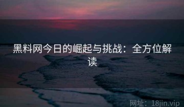 黑料网今日的崛起与挑战：全方位解读