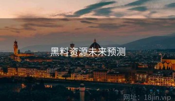 黑料资源未来预测