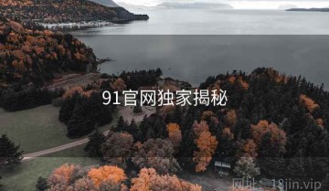 91官网独家揭秘
