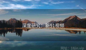 深度研究：新91视频