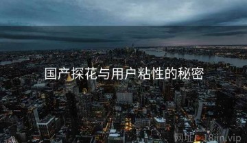 国产探花与用户粘性的秘密