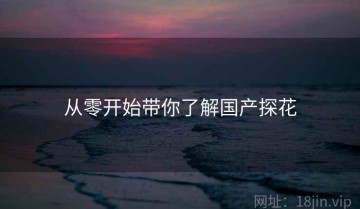 从零开始带你了解国产探花