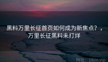 黑料万里长征首页如何成为新焦点？，万里长征黑料未打烊