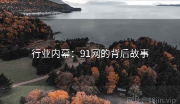 行业内幕：91网的背后故事