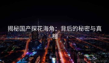 揭秘国产探花海角：背后的秘密与真相