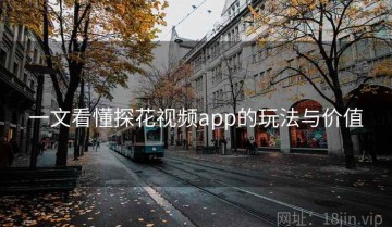 一文看懂探花视频app的玩法与价值