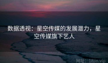 数据透视：星空传媒的发展潜力，星空传媒旗下艺人