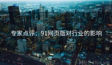 专家点评：91网页版对行业的影响
