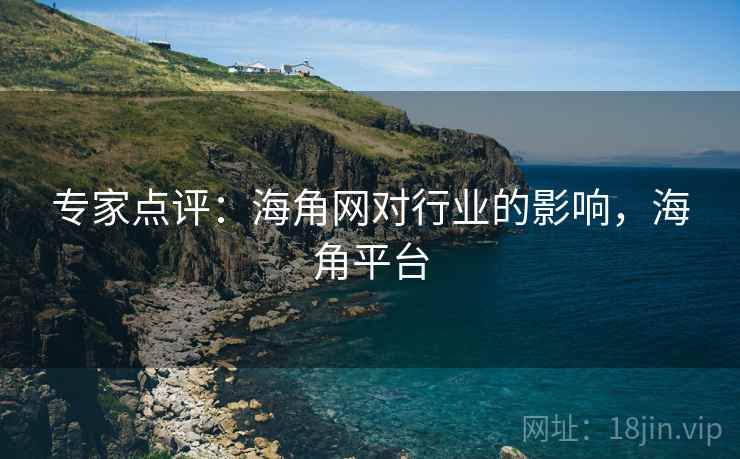 专家点评：海角网对行业的影响，海角平台