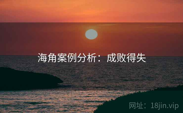 海角案例分析：成败得失