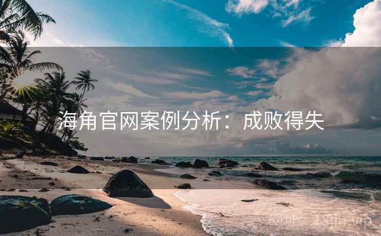海角官网案例分析：成败得失