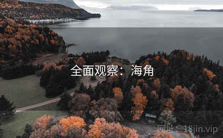 全面观察：海角