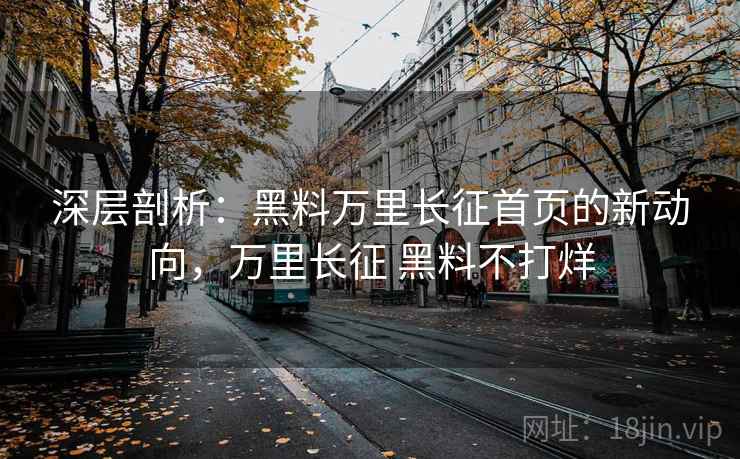 深层剖析：黑料万里长征首页的新动向，万里长征 黑料不打烊
