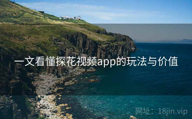 一文看懂探花视频app的玩法与价值