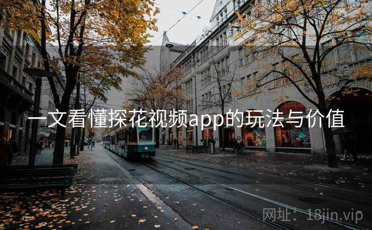 一文看懂探花视频app的玩法与价值