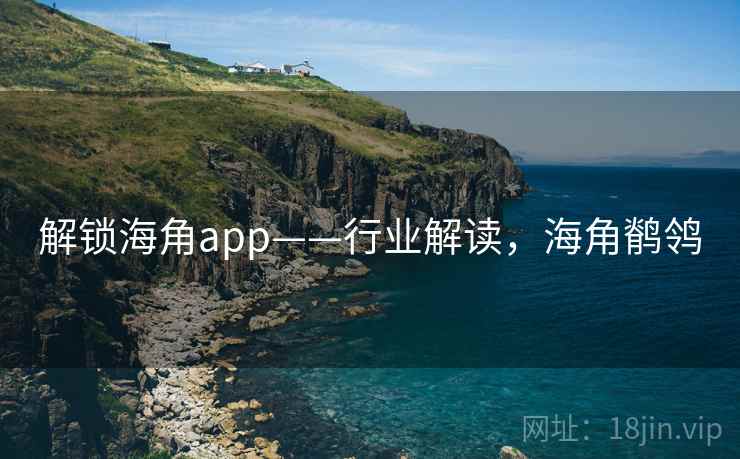 解锁海角app——行业解读，海角鹡鸰