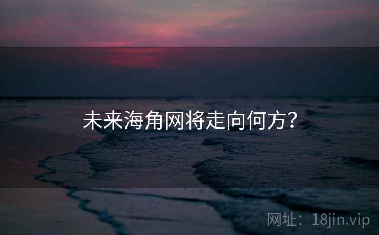 未来海角网将走向何方？
