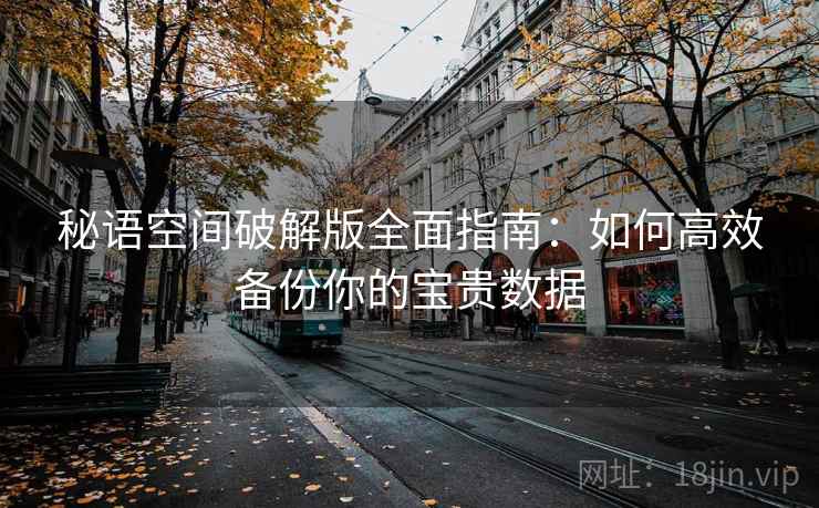 秘语空间破解版全面指南：如何高效备份你的宝贵数据